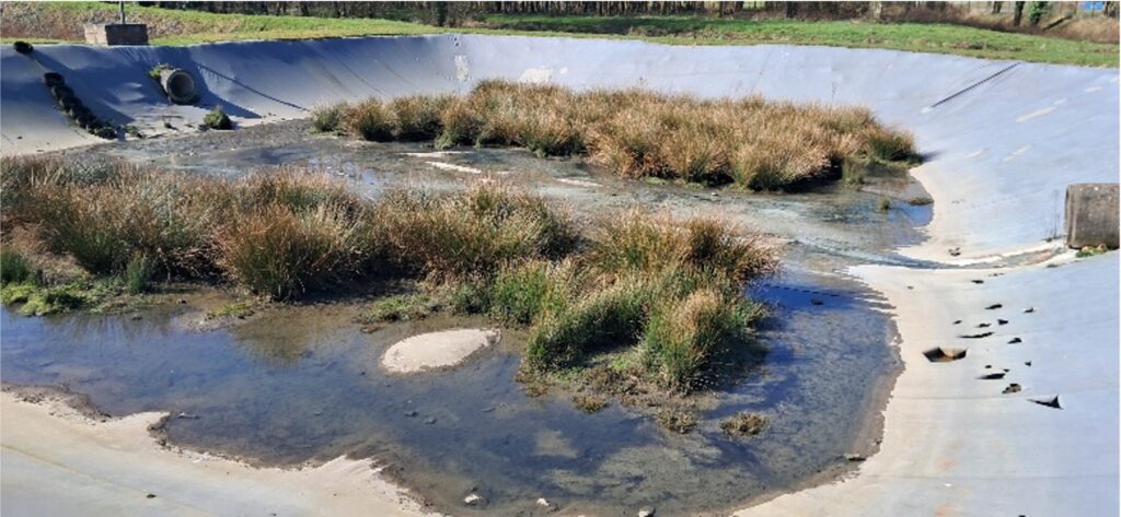 bassin eaux pluviales fougères
