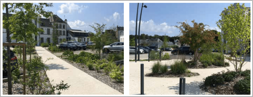 ile de groix revegetalisation du centre bourg